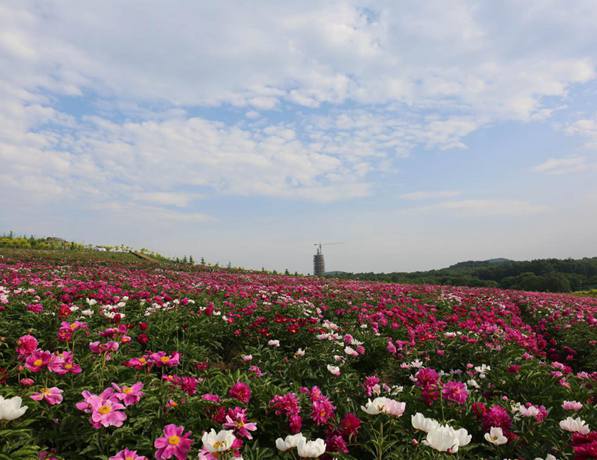 长白山花海