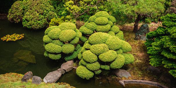 介绍