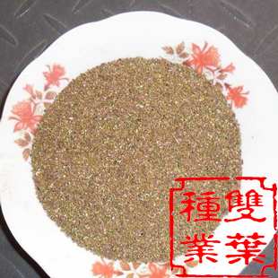 吴凤草种子